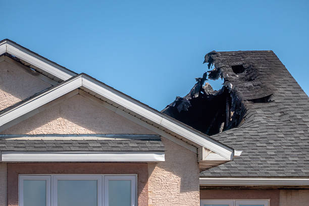 Top rated local Fire Damage Assessment specialists in Willow Grove, PA
